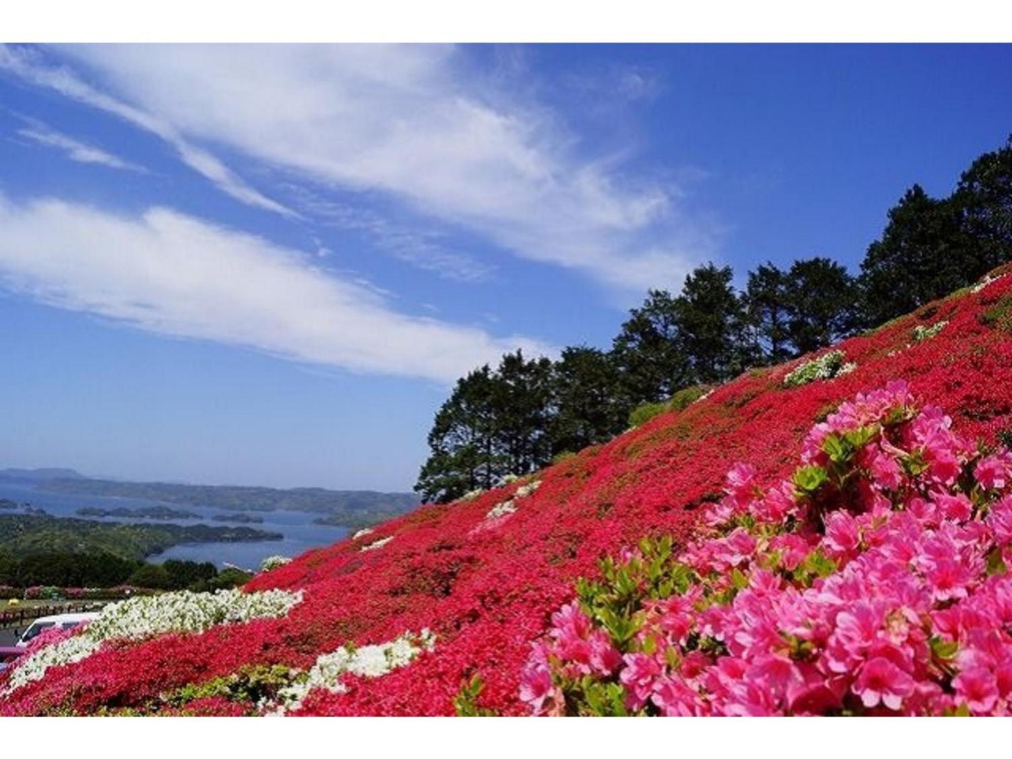 The Paradise Garden Sasebo Exterior foto